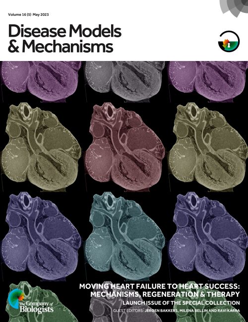 Cover of Disease Models & Mechanisms Special Issue.