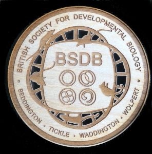 Vote for your favourite artwork in the BSDB-the Node virtual art ...