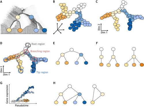 Cracking the egg - the Node