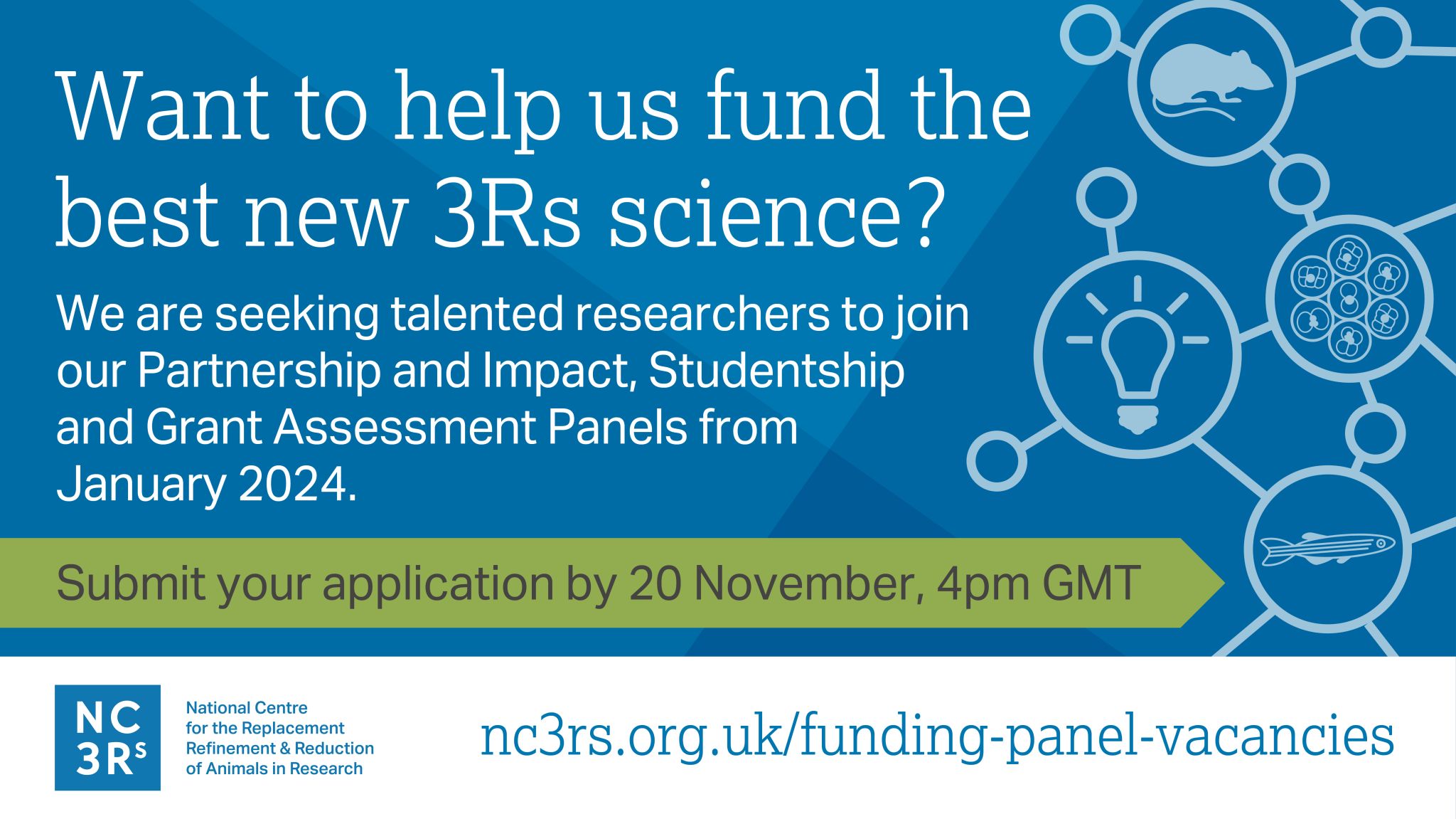 Want to help us fund the best new 3Rs science? We are seeking talented researchers to join our Partnership and Impact, Studentship and Grant Assessment Panels from January 2024. Submit your application by 20 November, 4pm GMT.