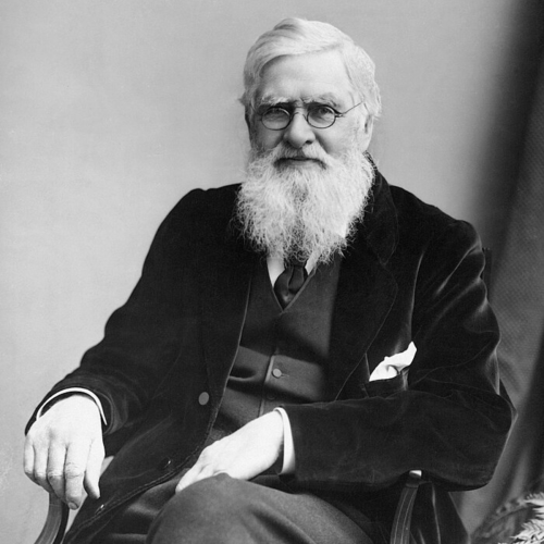 Black & white photograph of Alfred Russel Wallace