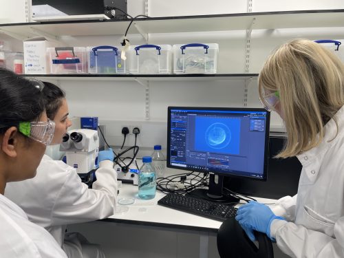 PhD student showing zebrafish embryo to teachers