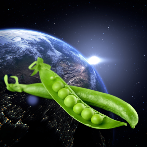 Peas in front of an image of the world