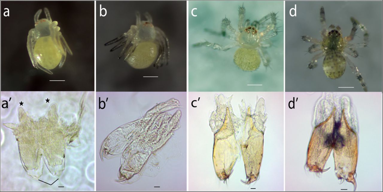 C1 PAGE.indd, image size:1280x643