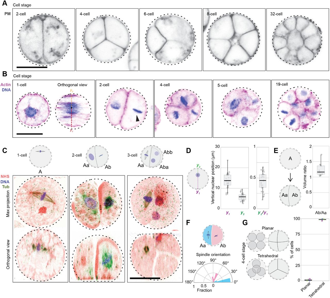 March in preprints - the Node, image size:1280x1155
