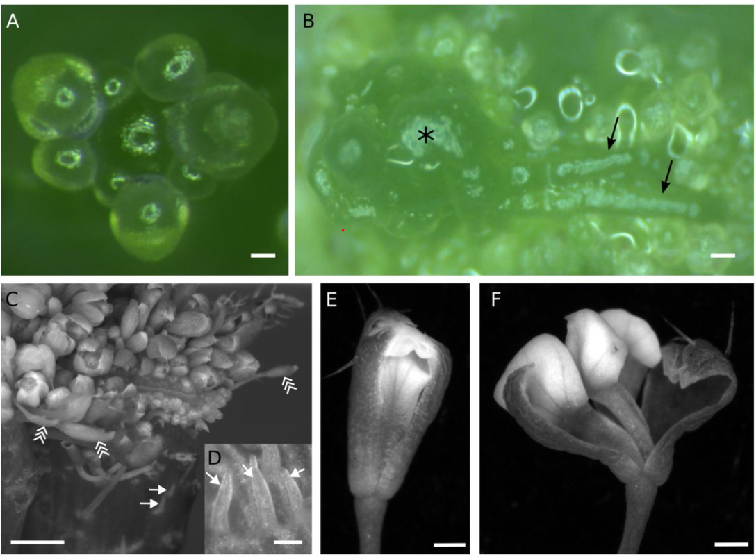 March in preprints - the Node, image size:1088x802