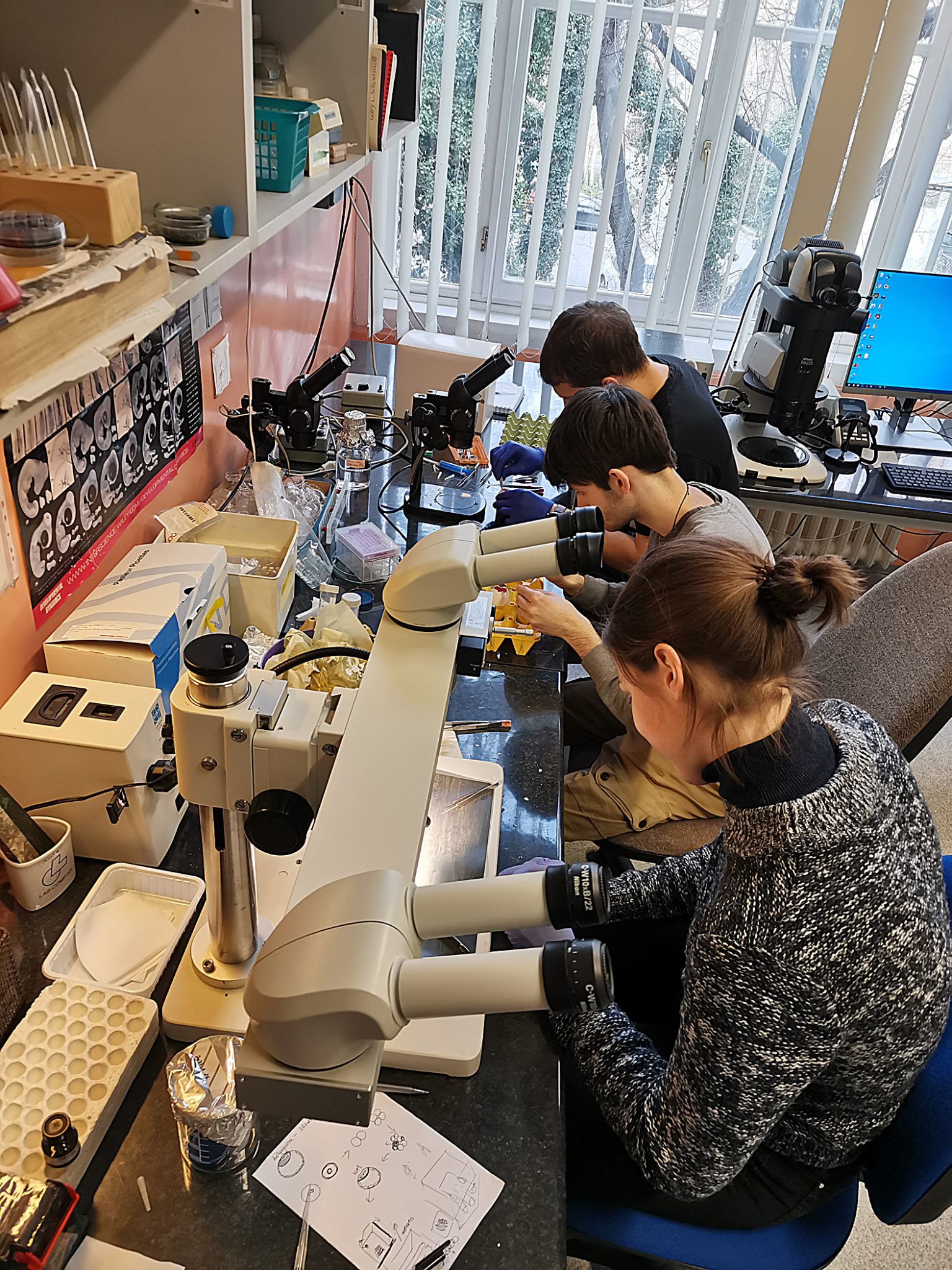 Lab meeting with the Nagy lab - the Node