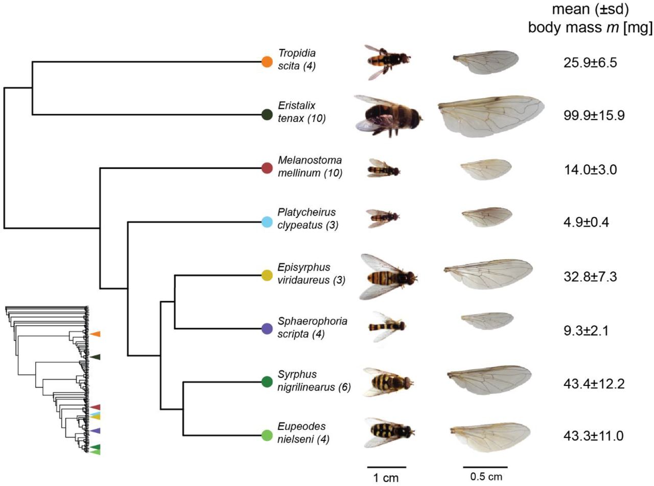 April in preprints - the Node, image size:1280x952