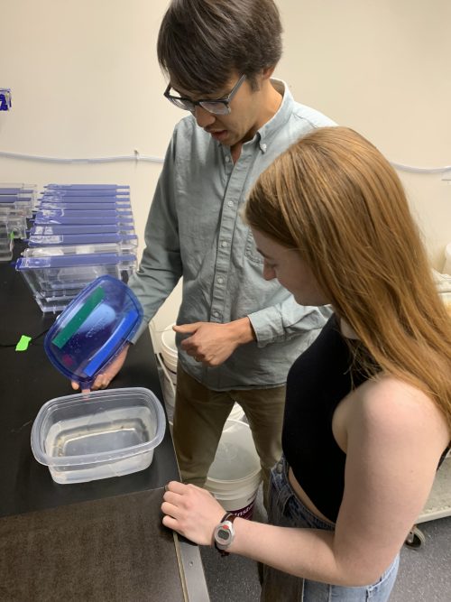 This is a picture of Paul Bump and Eliza Hirsch looking at a Tupperware with Hofstenia of in it