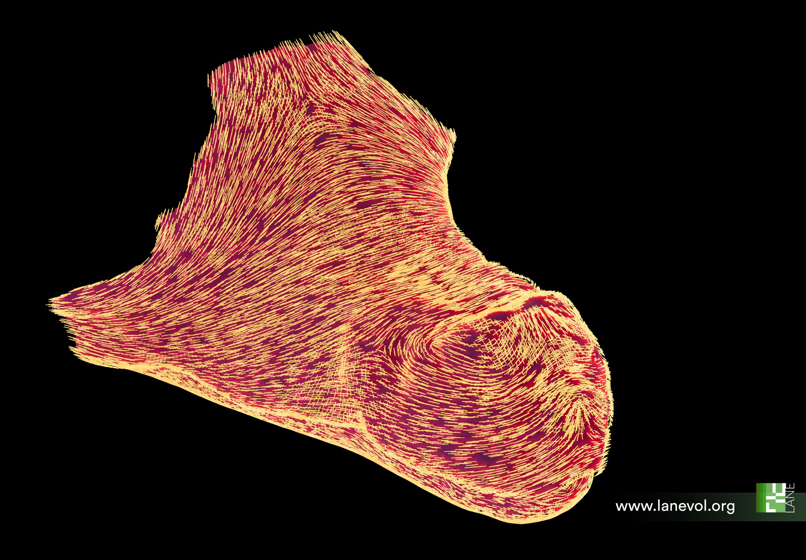 The mechanics of crocodile head scale development - the Node