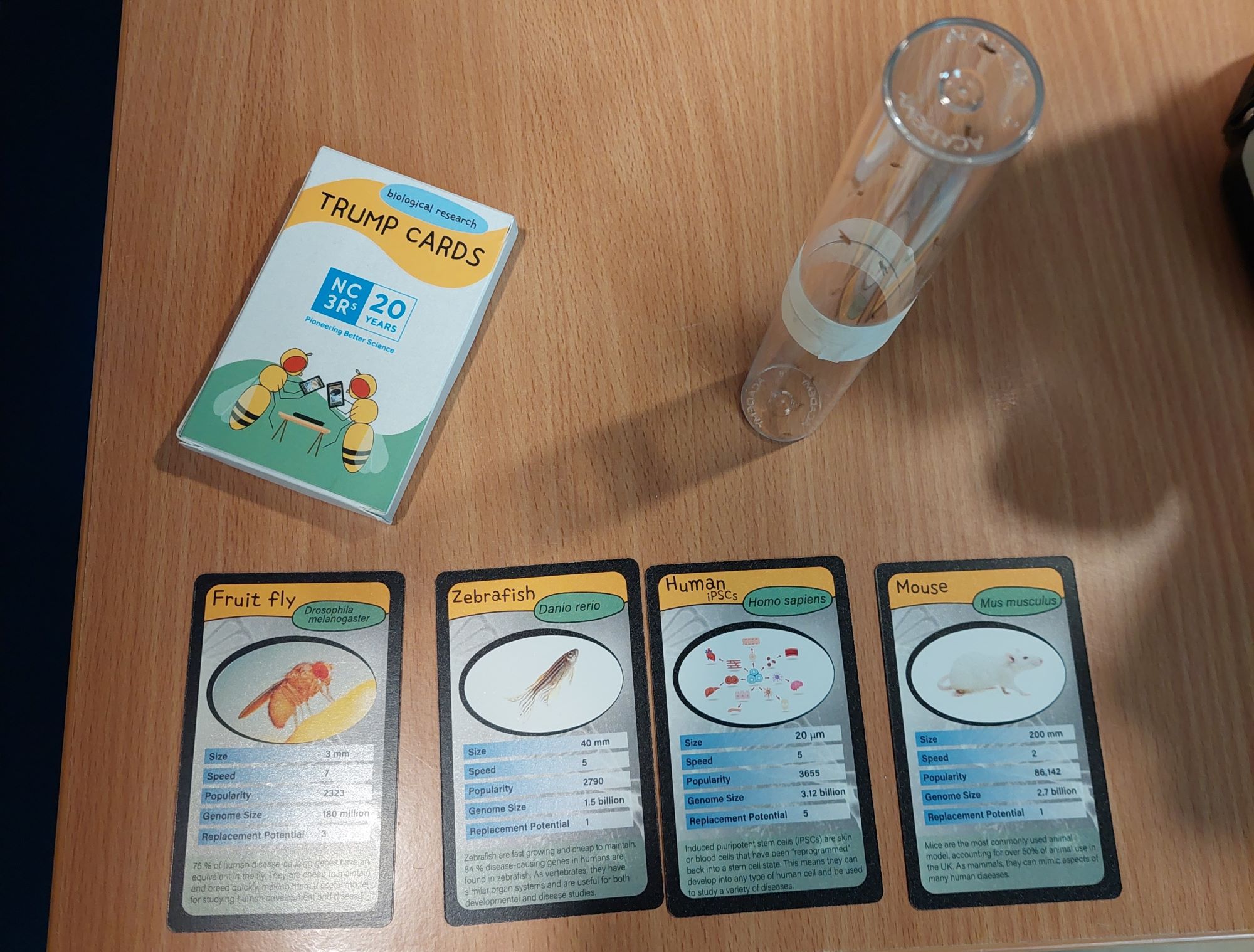 Four trump cards laid out on a table next to the box. The cards are colourful and have an image in an oval above the four trump categories. The four cards are: fruit flies (Drosophila melanogaster), zebrafish (Danio rerio), human iPSCs, and mouse (mus musculus). Next to the cards are some fruit flies in a vial.