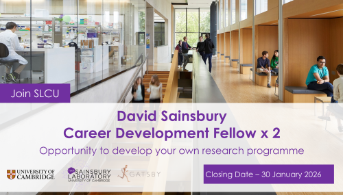 Interior of the award-winning Sainsbury Laboratory building illustrating how the modern interior spaces are well-lit by natural light, including glass walls providing views to Botanic Garden from laboratory spaces.