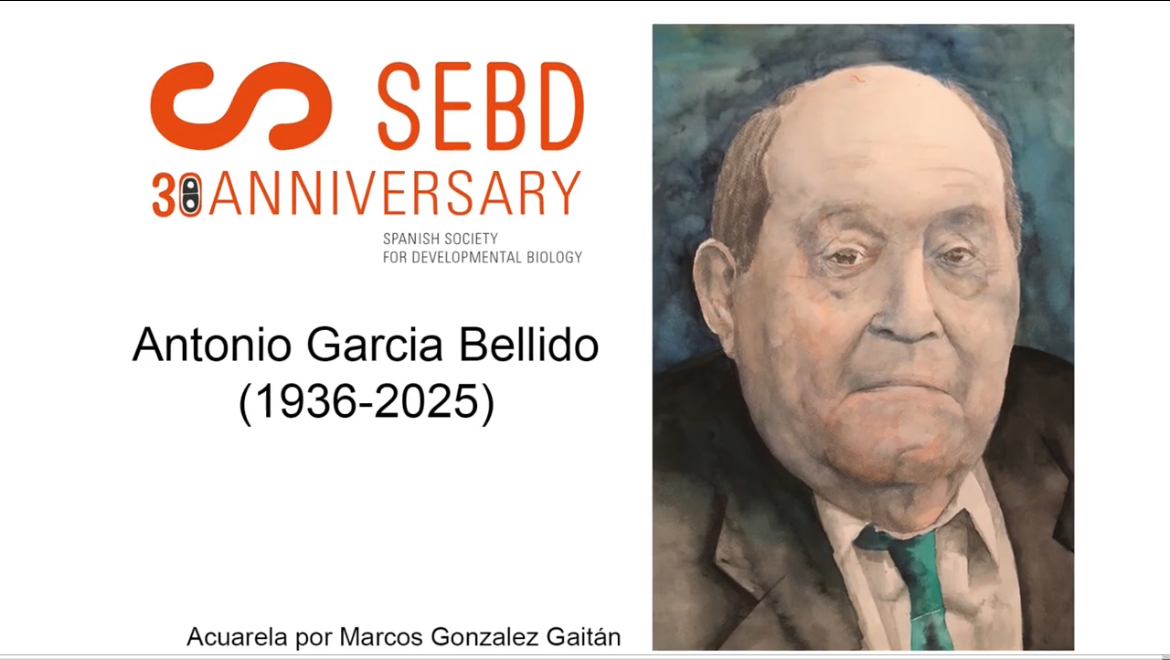 sebd-honours-antonio-garc-a-bellido-the-node