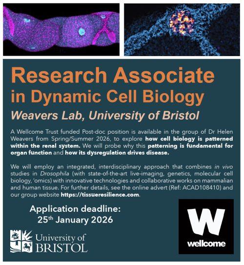 Weavers Lab Postdoc 