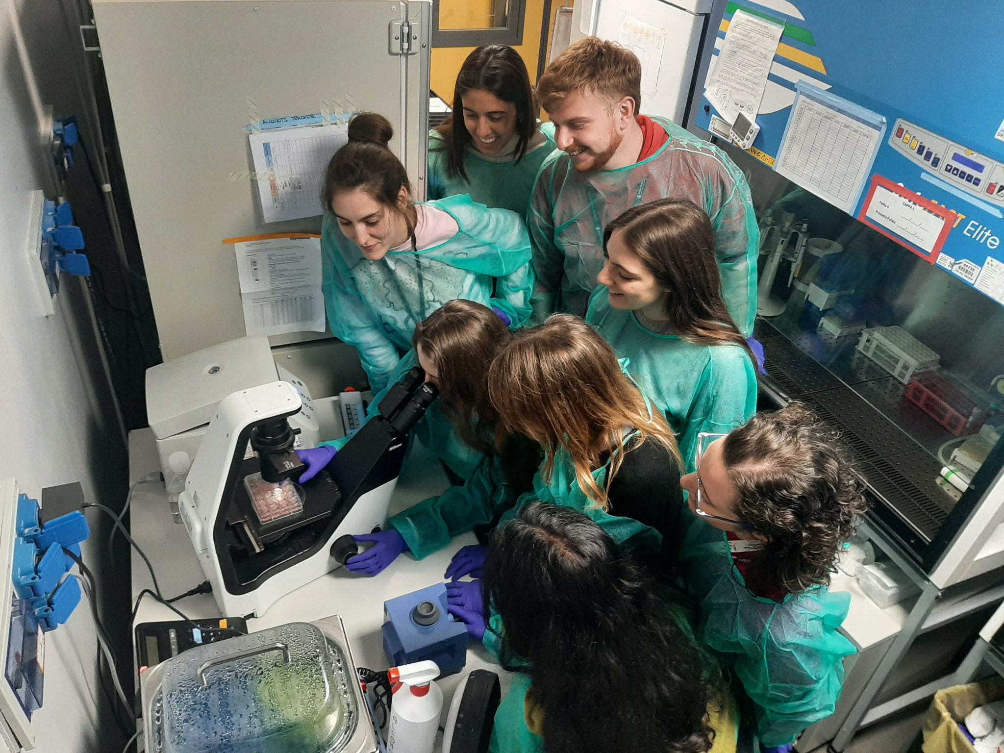Lab meeting with the Ditadi lab - the Node