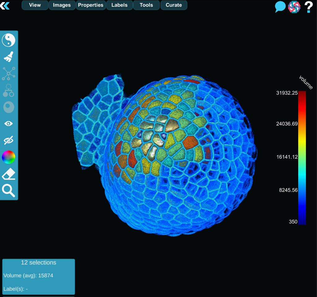 Featured resource: MorphoNet 2.0 - the Node