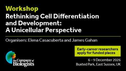 Workshop Rethinking Cell Differentiation and Development: A Unicellular Perspective Date: 6-9 December 2026 Location: Buxted Park, East Sussex, UK Organisers: Elena Casacuberta and James Gahan