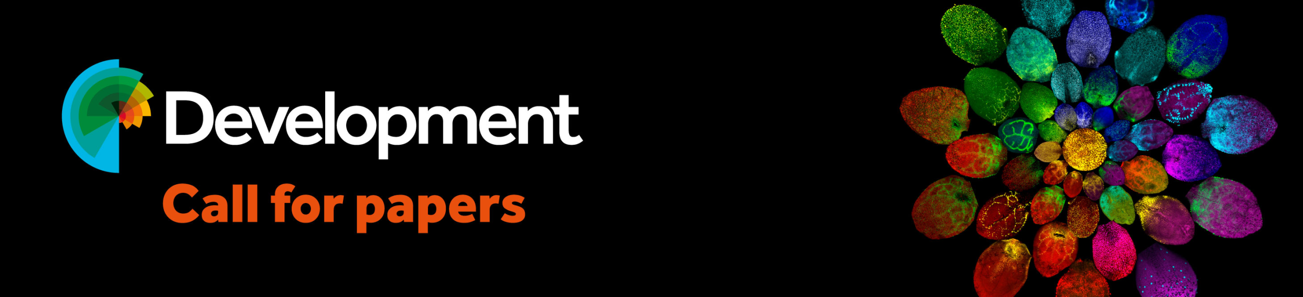 Development logo and a colour composite of leaves.
Text: "Call for papers".