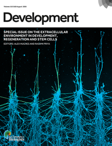Cover: HNK1-positive enteric neural crest-derived cells (ENCDCs) migrate efficiently on fibronectin-coated stripes, whereas alternating chondroitin sulfate proteoglycan (CSPG)-coated stripes strongly inhibit their migration. This sharp contrast illustrates how extracellular matrix (ECM) composition regulates ENCDC migration and highlights ECM modulation as a potential strategy to improve stem cell-based therapy for Hirschsprung disease. See Research Article by Szőcs et al.